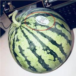 宿州网红吃瓜,揭秘幕后故事与热门话题