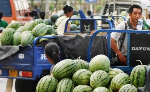 云南男网红吃瓜事件,真相揭秘引网友热议